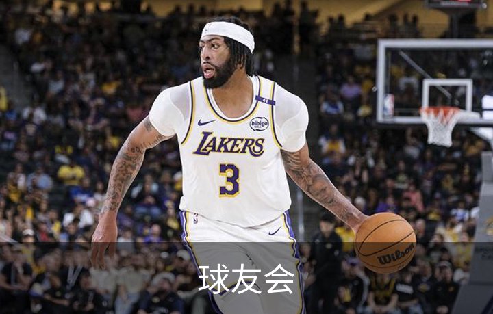 球友会概况